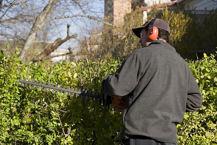 garden maintenance cairns, pic 1